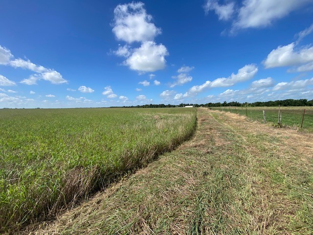 TBD Cr 403, Lott, Texas image 2