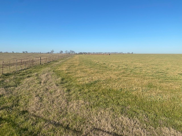 TBD Cr 403, Lott, Texas image 4