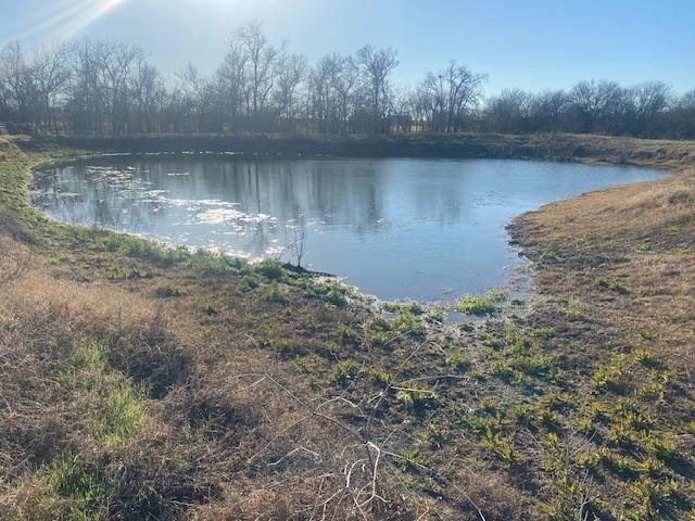 TBD Cr 403, Lott, Texas image 6