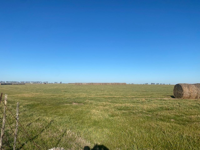 TBD Cr 403, Lott, Texas image 13