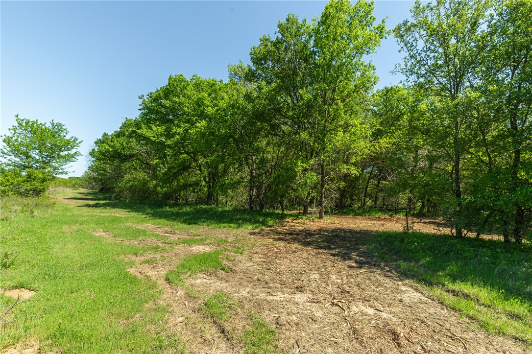 1941 Hcr 2302 S, Abbott, Texas image 22