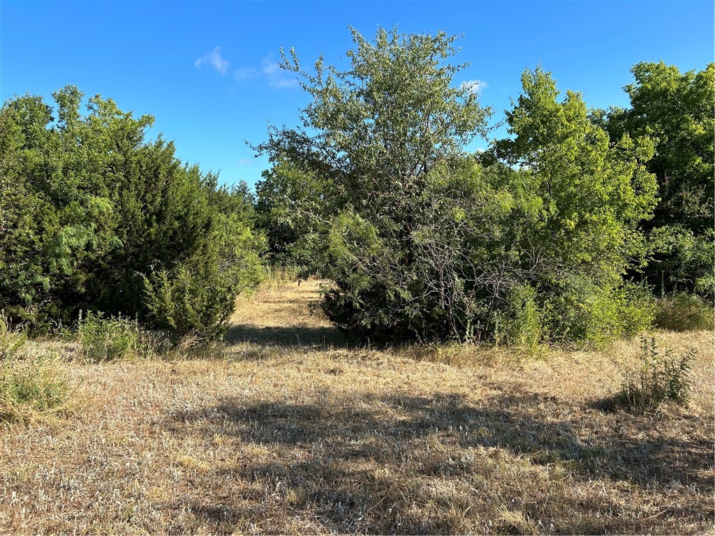 170 Open Spaces, China Spring, Texas image 1