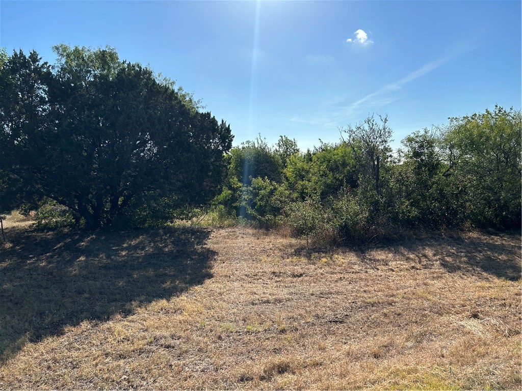 170 Open Spaces, China Spring, Texas image 4