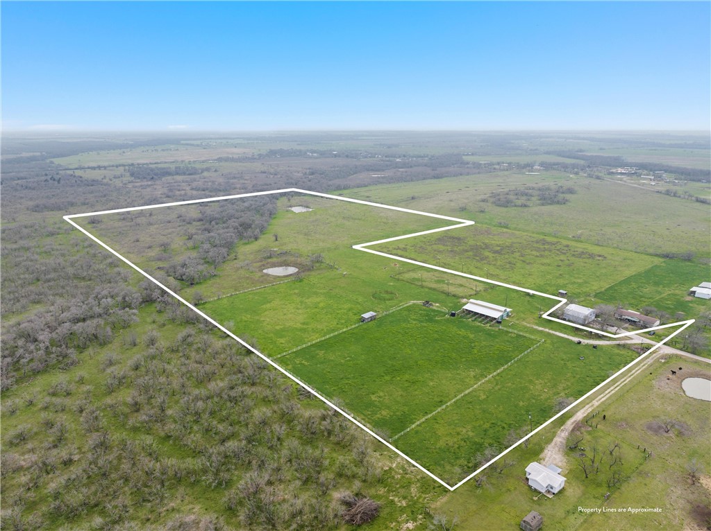 40 Acres Lcr 615, Groesbeck, Texas image 8