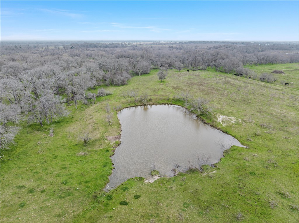 40 Acres Lcr 615, Groesbeck, Texas image 6