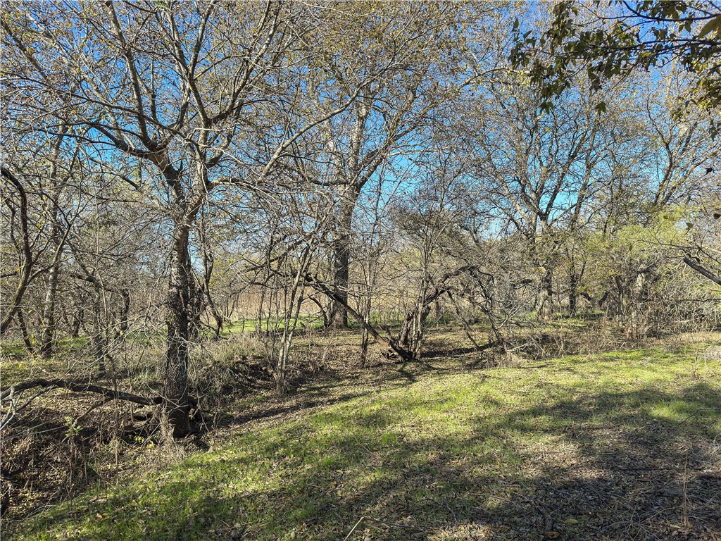 TBD Tract 6 Talbert Ranch Road, China Spring, Texas image 17