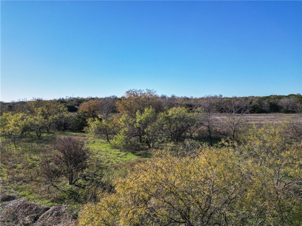 TBD Tract 6 Talbert Ranch Road, China Spring, Texas image 9