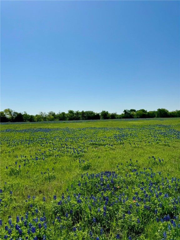 5 Acres Fm 308 Road, Penelope, Texas image 4