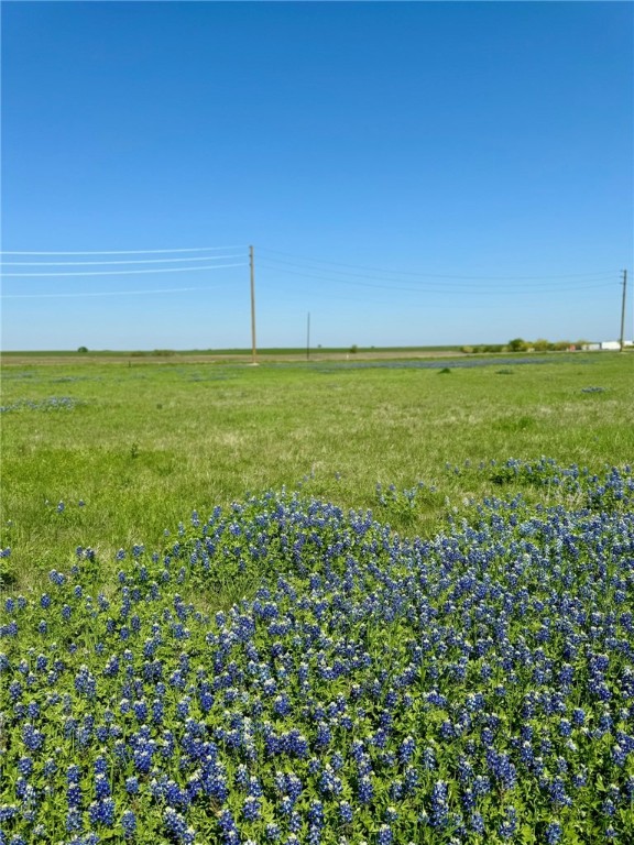 5 Acres Fm 308 Road, Penelope, Texas image 11