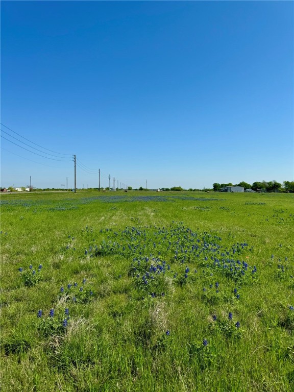 5 Acres Fm 308 Road, Penelope, Texas image 3