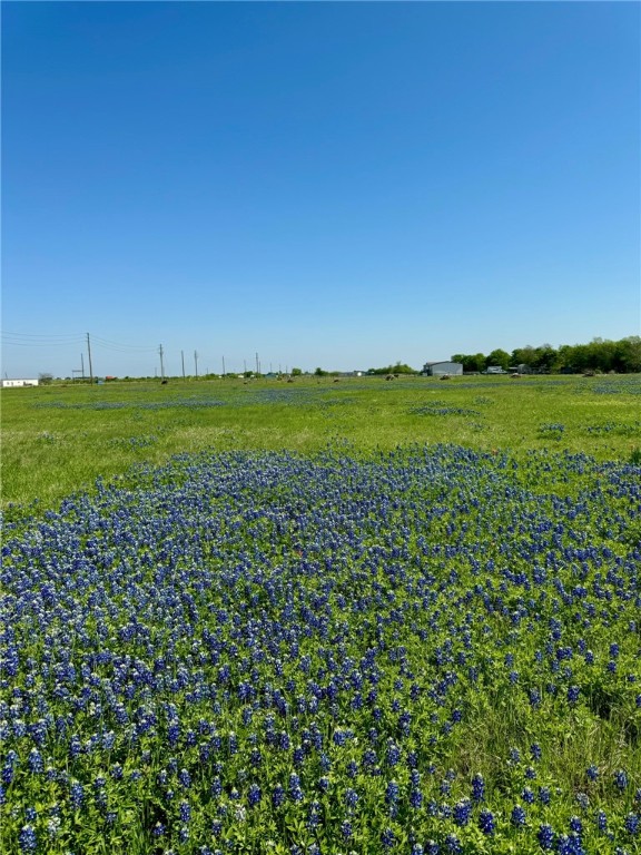 5 Acres Fm 308 Road, Penelope, Texas image 10