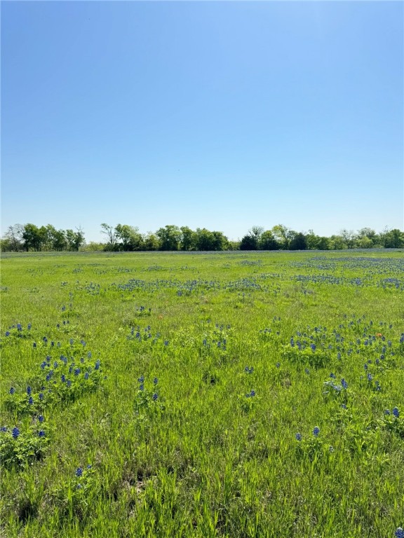 5 Acres Fm 308 Road, Penelope, Texas image 2