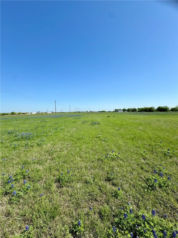 5 Acres Fm 308 Road, Penelope, Texas image 6