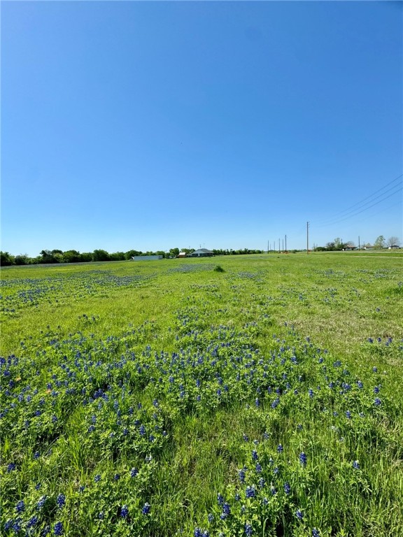 5 Acres Fm 308 Road, Penelope, Texas image 5