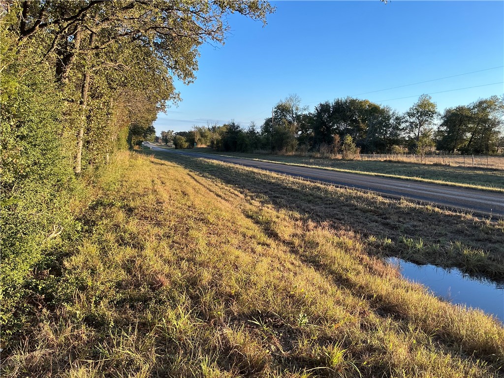 TBD Fm 2749, Thornton, Texas image 4