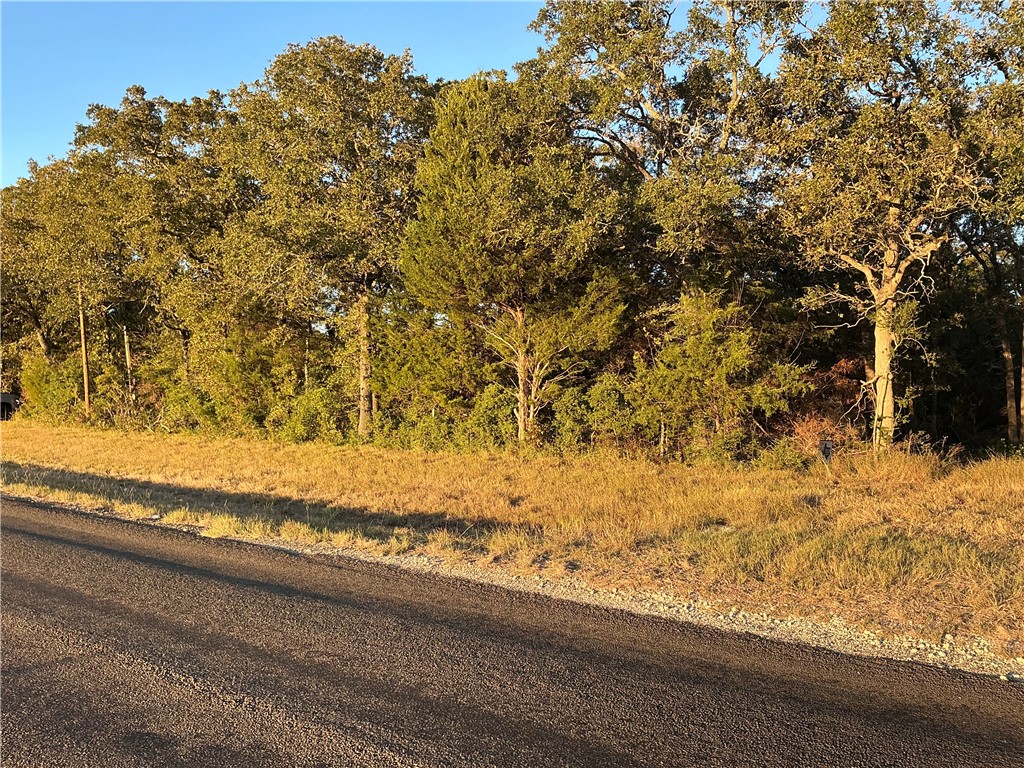 TBD Fm 2749, Thornton, Texas image 5