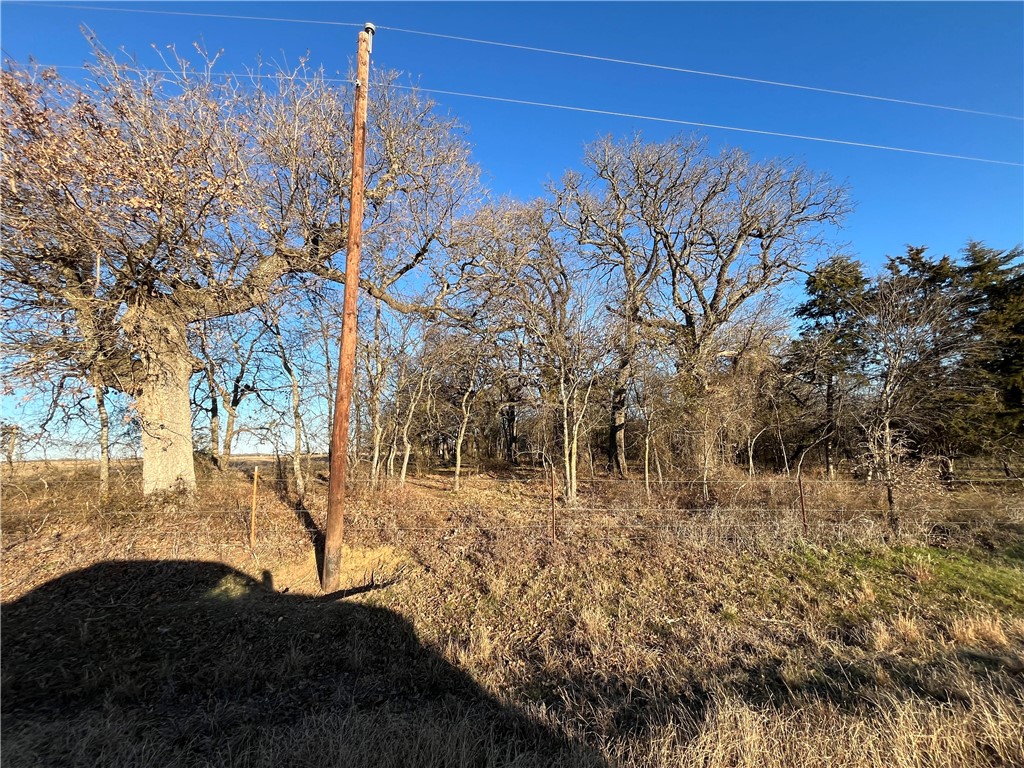 2150 Lcr 170 Road, Coolidge, Texas image 17