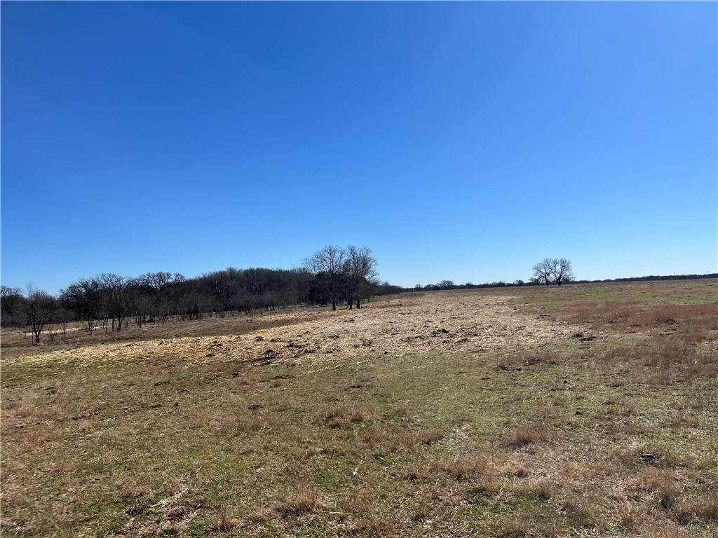 2150 Lcr 170 Road, Coolidge, Texas image 30