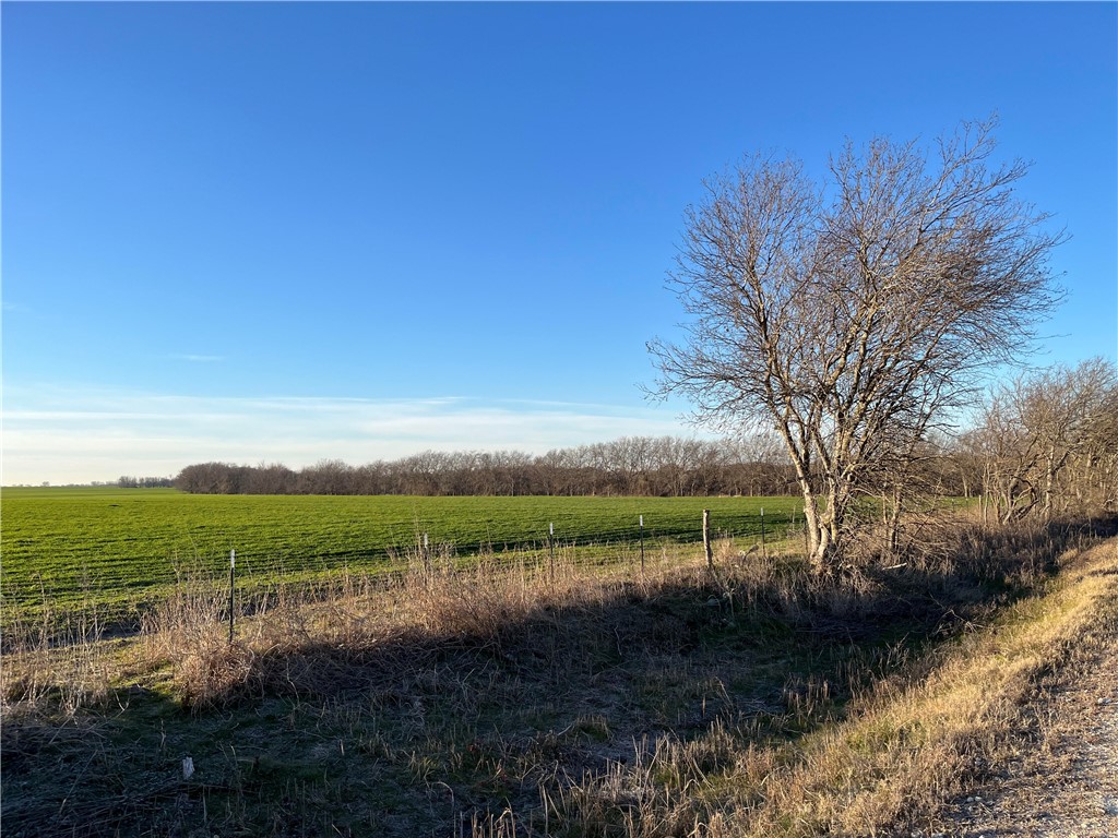 2150 Lcr 170 Road, Coolidge, Texas image 4