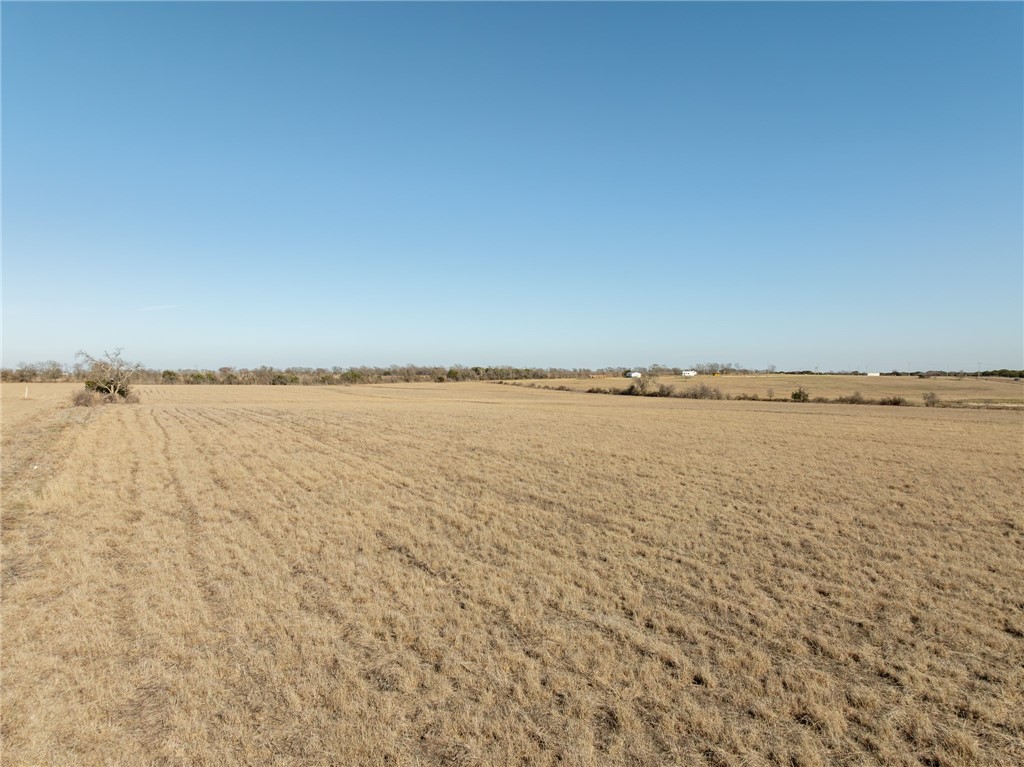 3101 W Fm 217 Highway, Valley Mills, Texas image 18