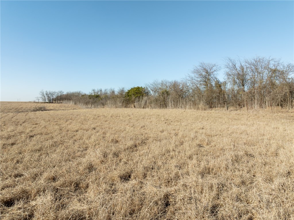 3101 W Fm 217 Highway, Valley Mills, Texas image 24