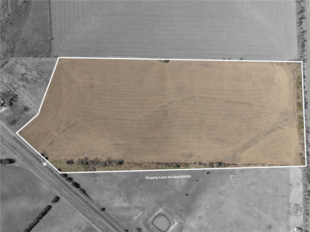 3101 W Fm 217 Highway, Valley Mills, Texas image 1