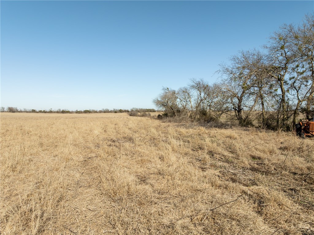 3101 W Fm 217 Highway, Valley Mills, Texas image 13
