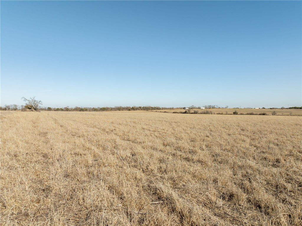 3101 W Fm 217 Highway, Valley Mills, Texas image 19