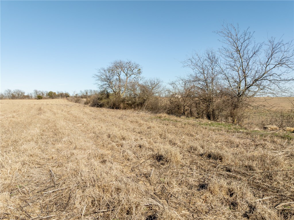 3101 W Fm 217 Highway, Valley Mills, Texas image 22