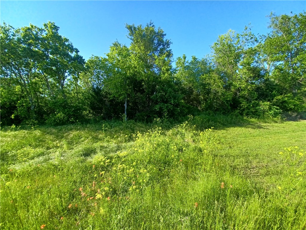 T.B.D W Hwy 84, Mexia, Texas image 3