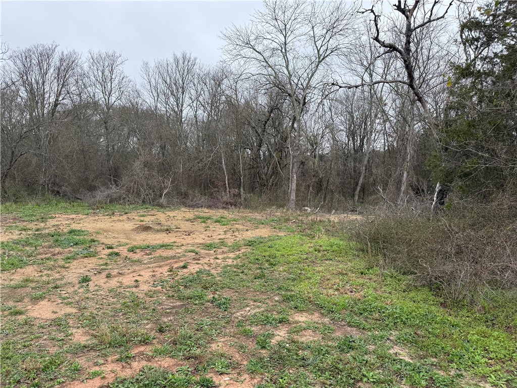 162 Lcr 474, Mexia, Texas image 26