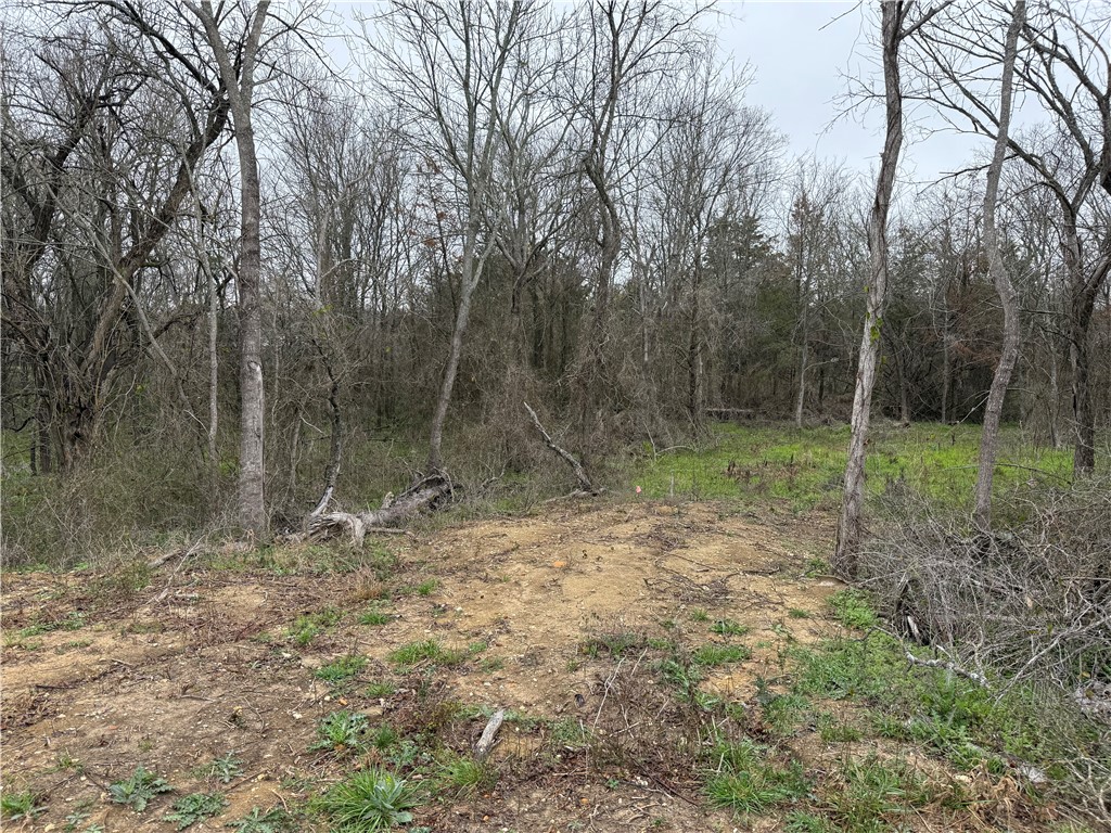 162 Lcr 474, Mexia, Texas image 28