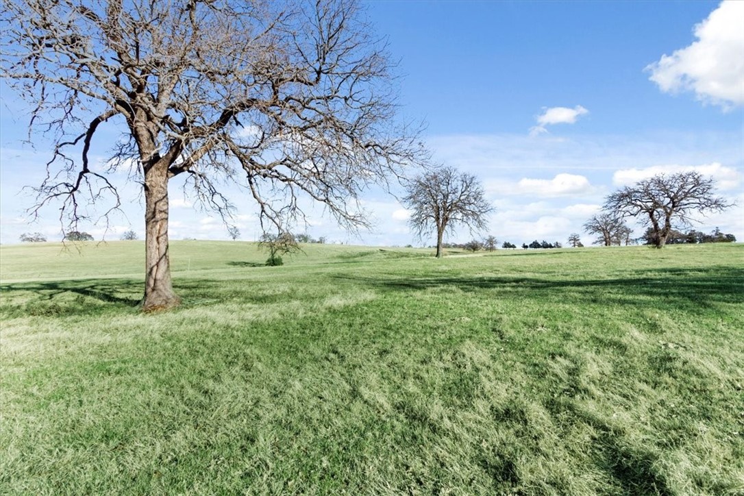 TBD - Lot 9 Lcr 707, Kosse, Texas image 11