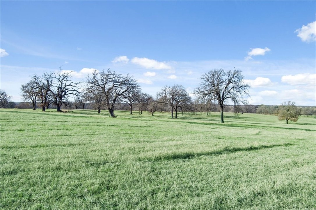 TBD - Lot 9 Lcr 707, Kosse, Texas image 20