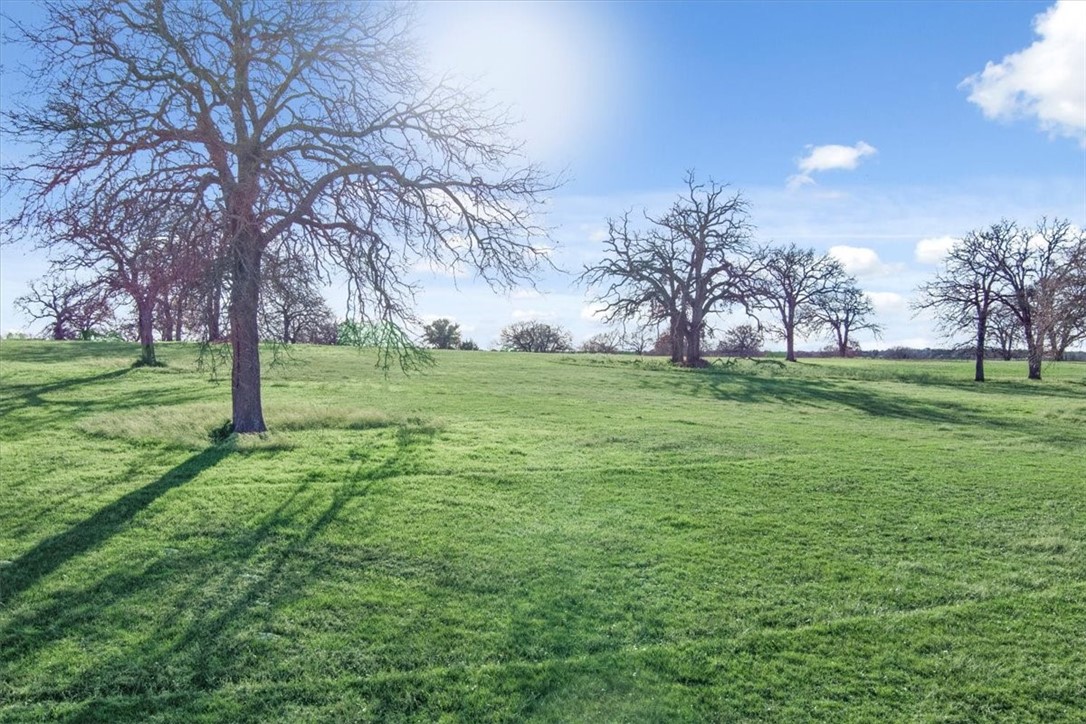 TBD - Lot 9 Lcr 707, Kosse, Texas image 22