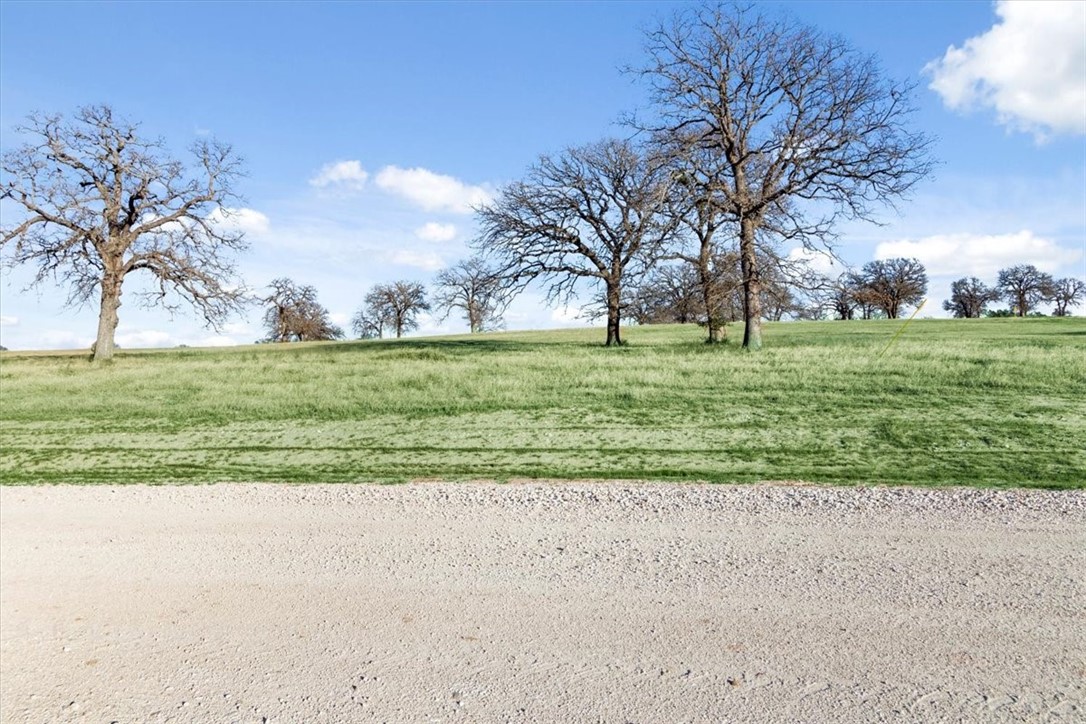 TBD - Lot 9 Lcr 707, Kosse, Texas image 17