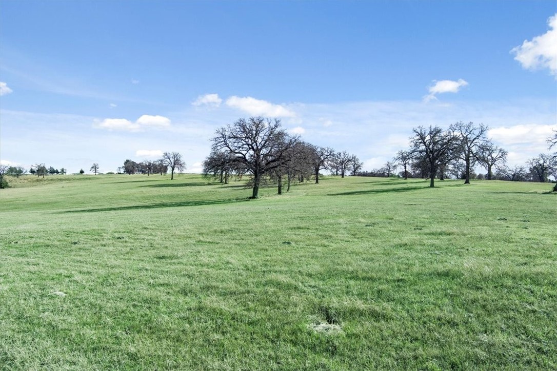 TBD - Lot 9 Lcr 707, Kosse, Texas image 19