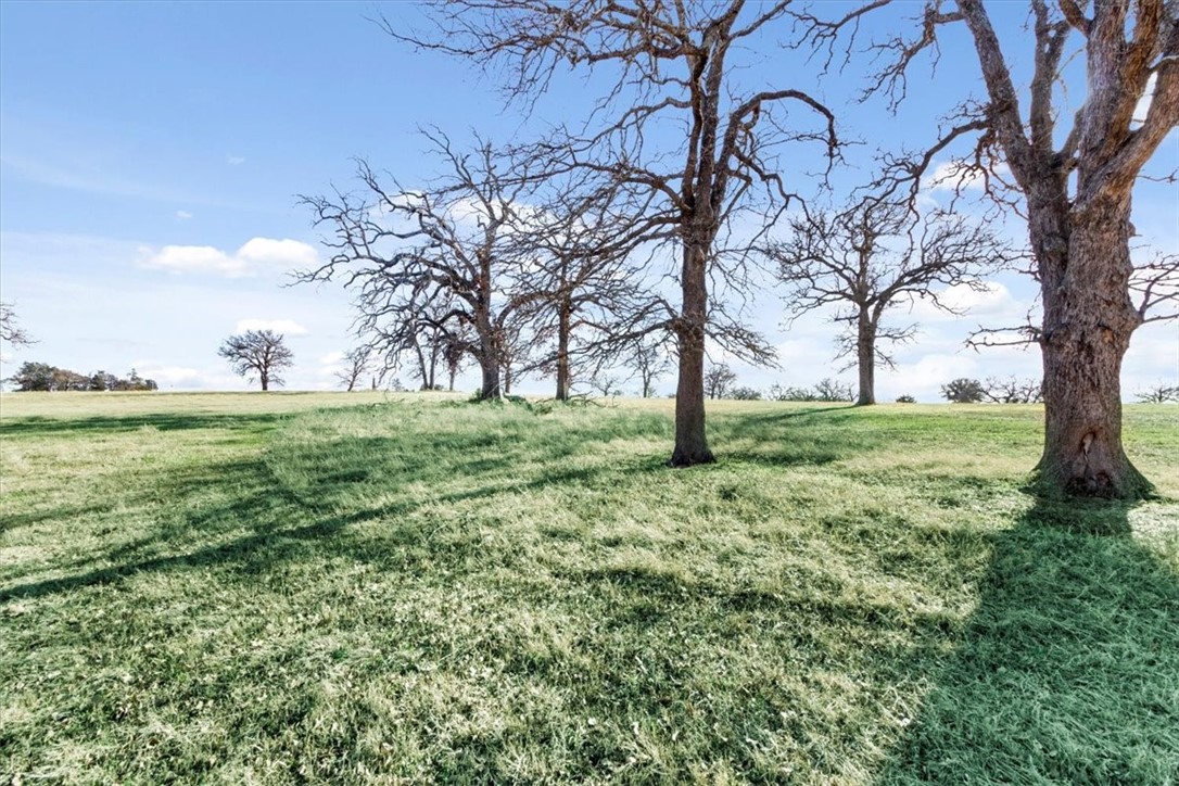 TBD - Lot 9 Lcr 707, Kosse, Texas image 10