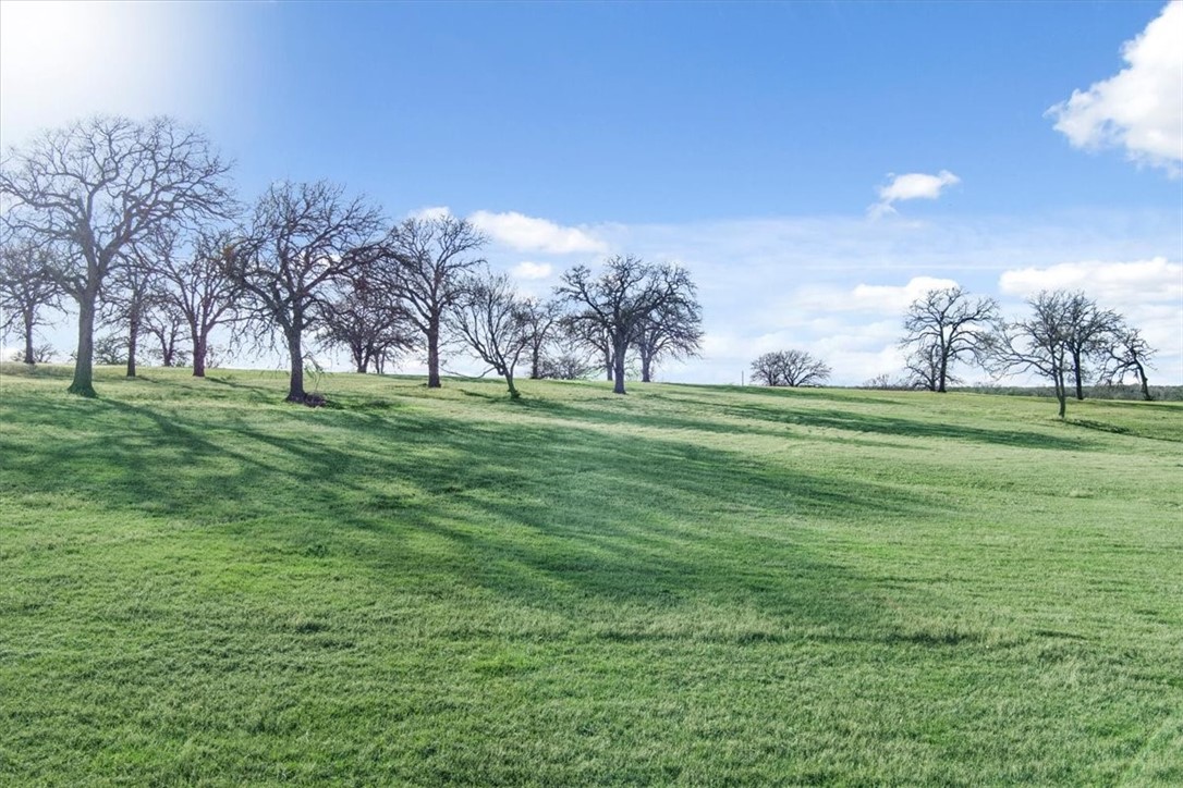 TBD - Lot 9 Lcr 707, Kosse, Texas image 24