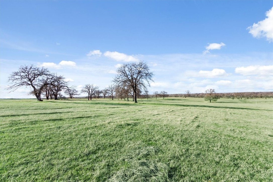 TBD - Lot 9 Lcr 707, Kosse, Texas image 12