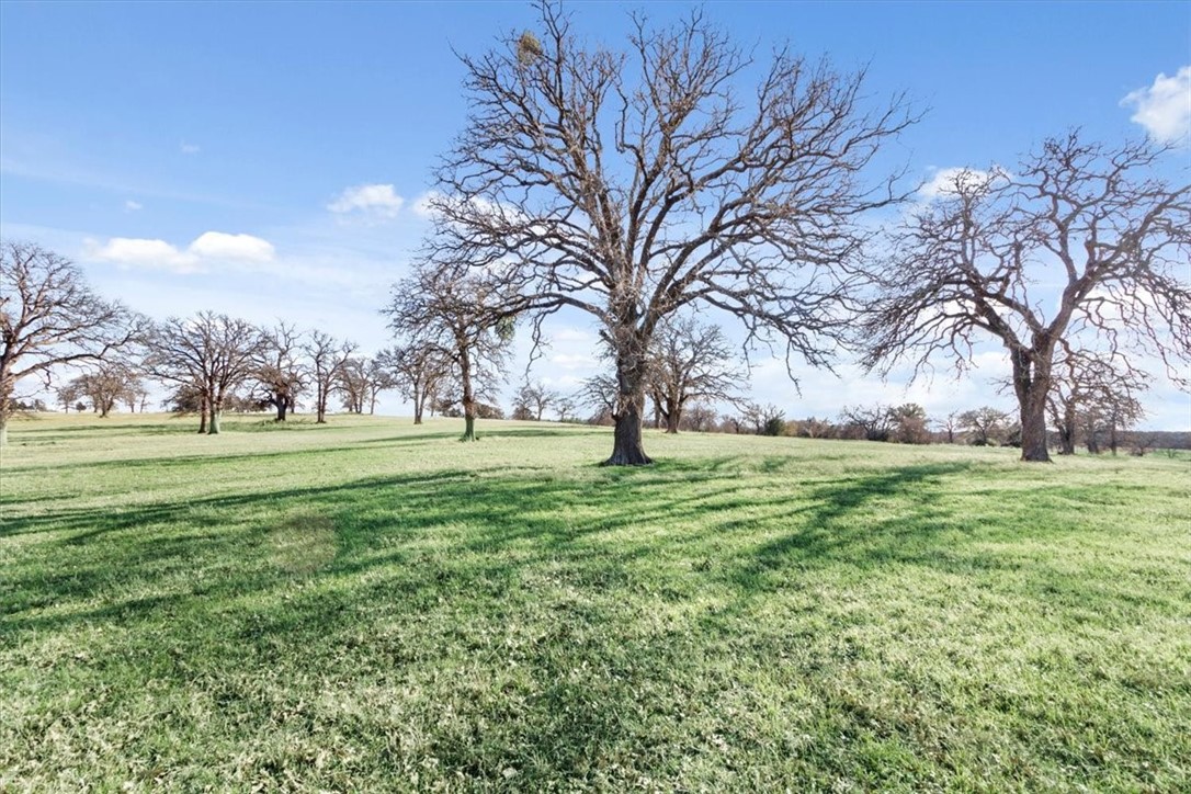 TBD - Lot 9 Lcr 707, Kosse, Texas image 6