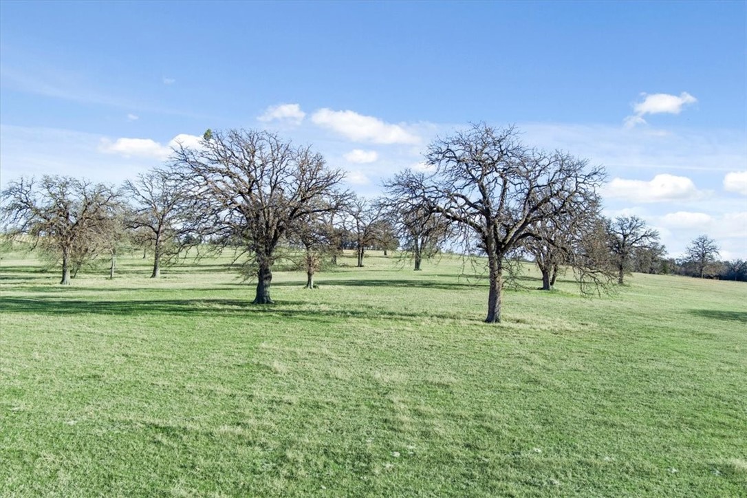 TBD - Lot 9 Lcr 707, Kosse, Texas image 26