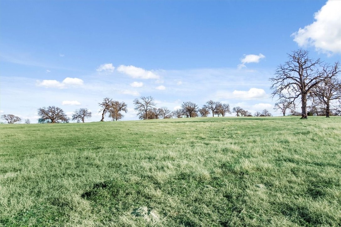 TBD - Lot 9 Lcr 707, Kosse, Texas image 18