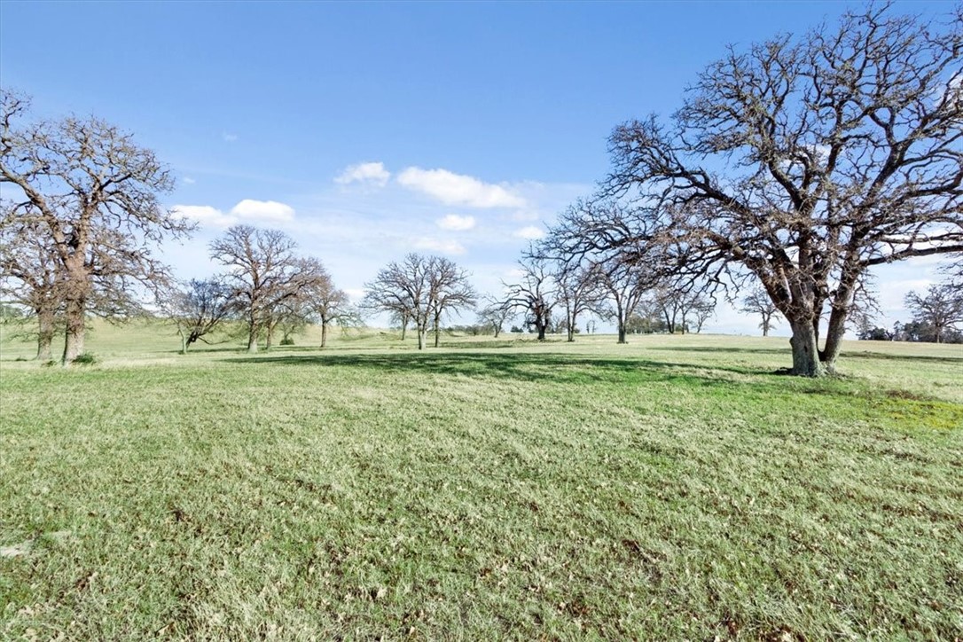 TBD - Lot 9 Lcr 707, Kosse, Texas image 7