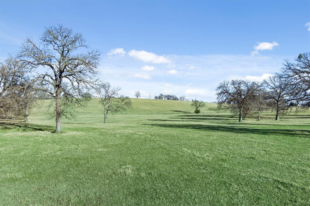 TBD - Lot 9 Lcr 707, Kosse, Texas image 27