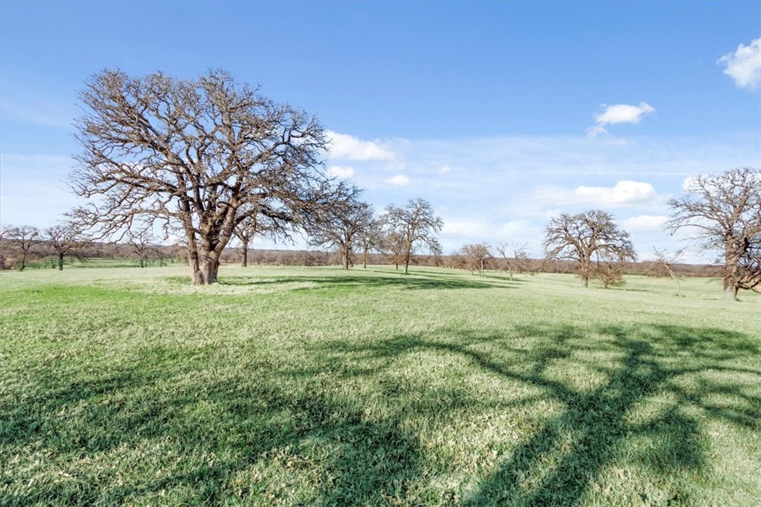 TBD - Lot 9 Lcr 707, Kosse, Texas image 8