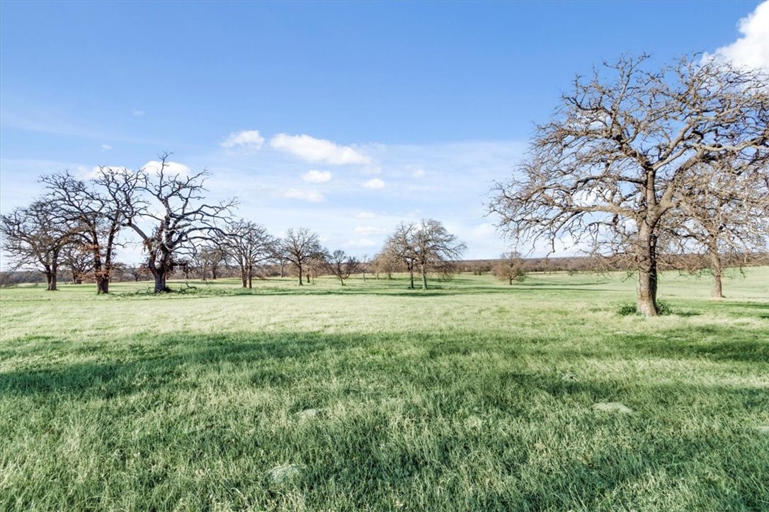 TBD - Lot 9 Lcr 707, Kosse, Texas image 14