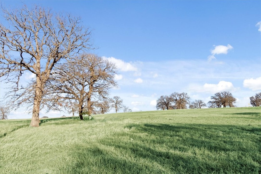 TBD - Lot 9 Lcr 707, Kosse, Texas image 16