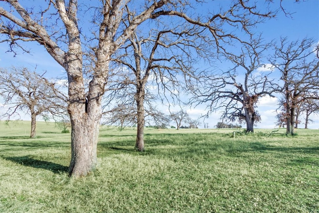 TBD - Lot 9 Lcr 707, Kosse, Texas image 9