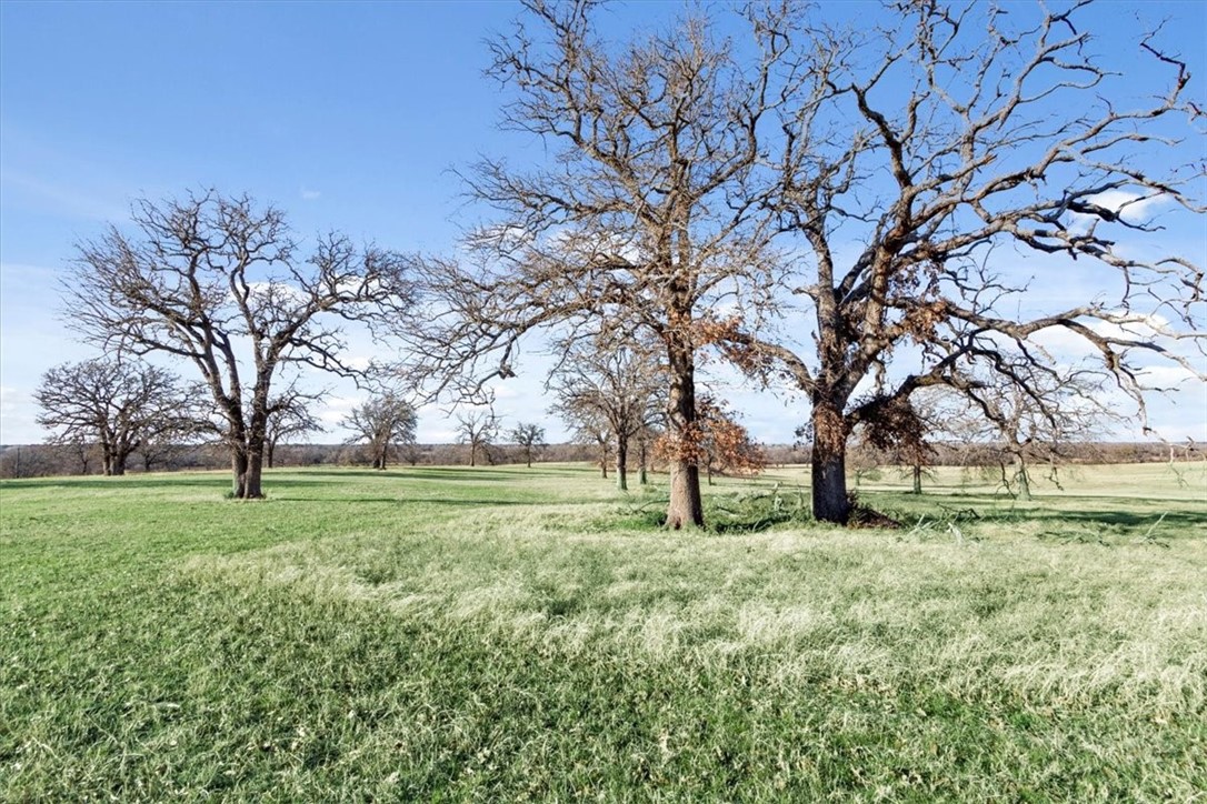 TBD - Lot 9 Lcr 707, Kosse, Texas image 15